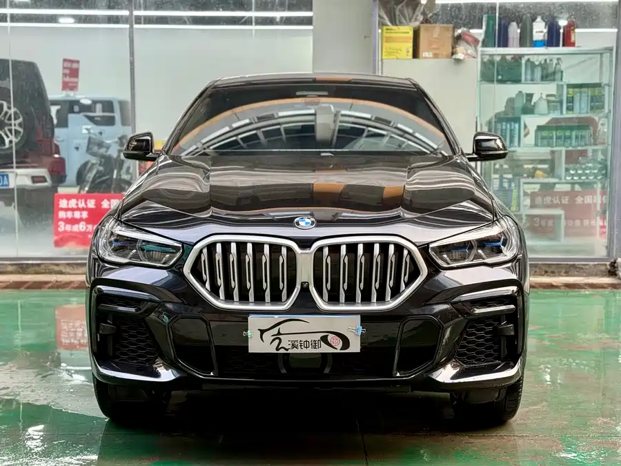 BMW X6