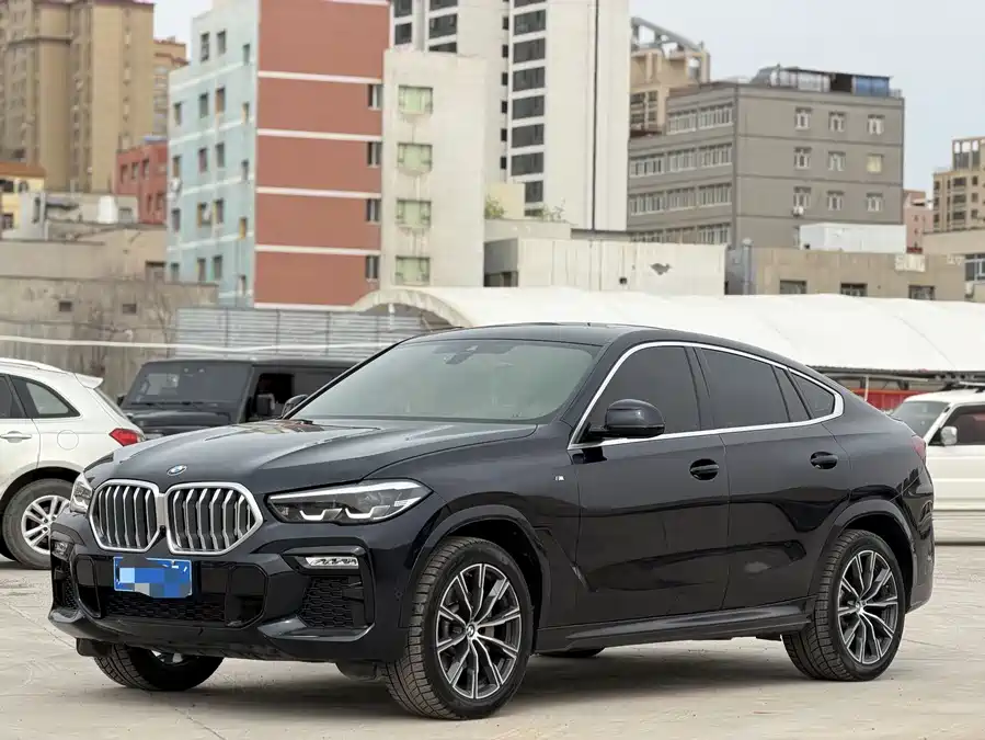 BMW X6