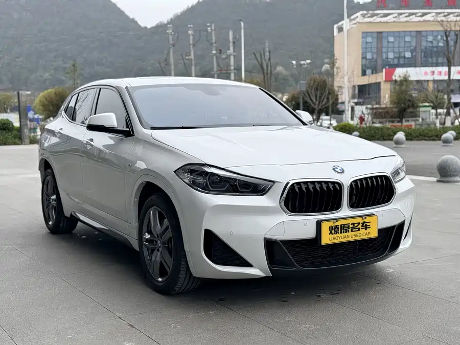 BMW X2