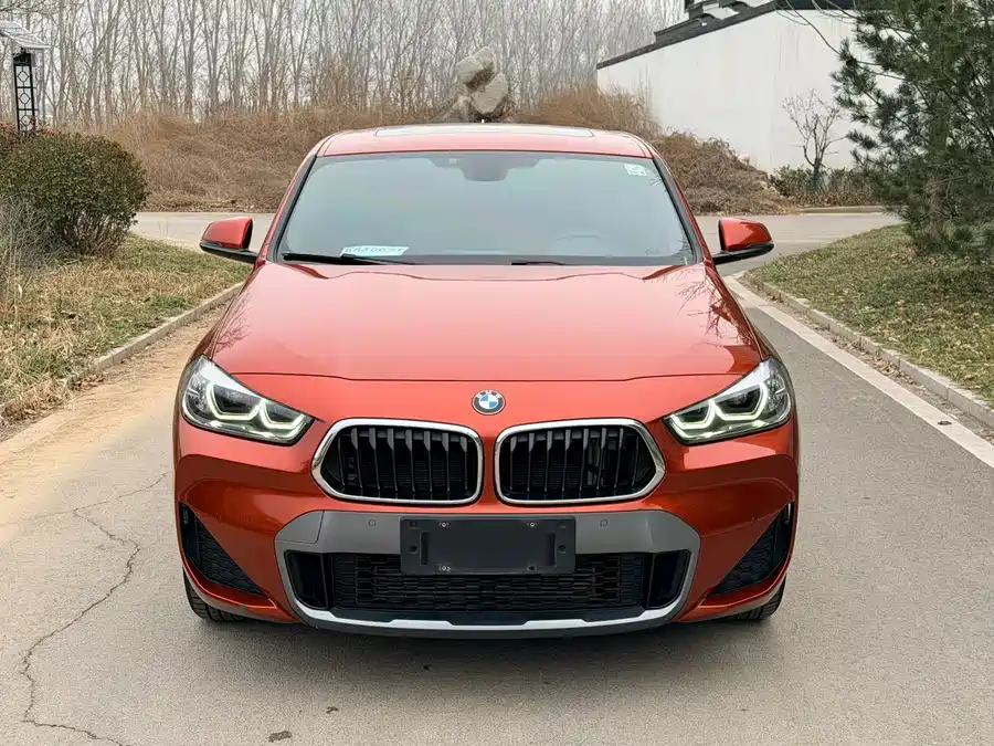 BMW X2
