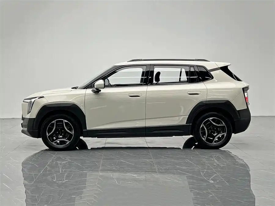 Dongfeng Nano 06