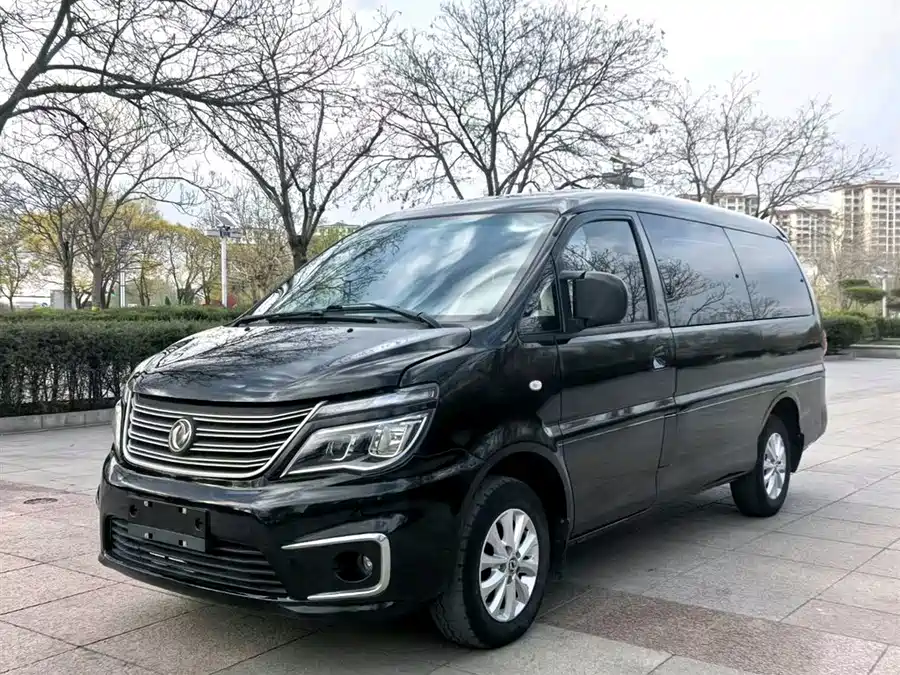 Dongfeng Lingzhi