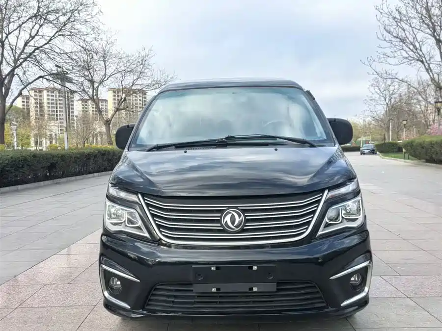 Dongfeng Lingzhi