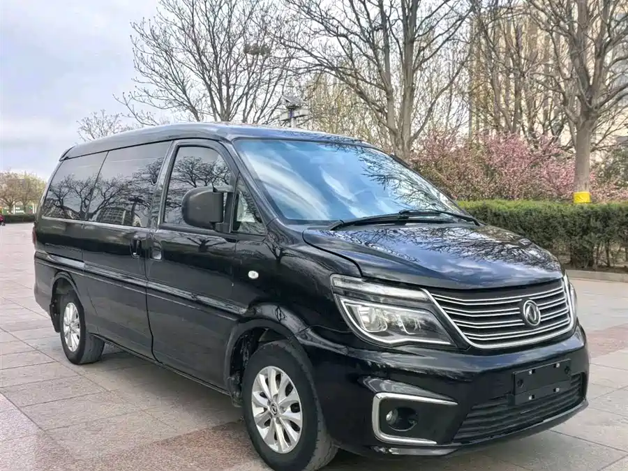 Dongfeng Lingzhi