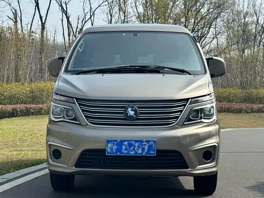 Dongfeng Lingzhi