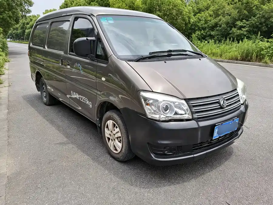 Dongfeng Lingzhi