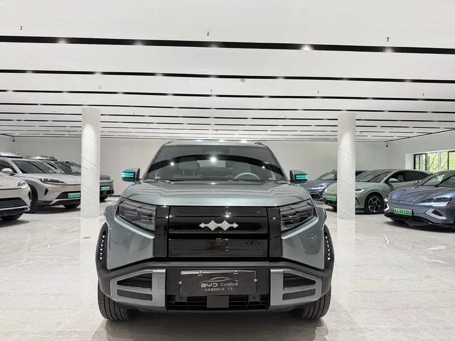 BYD Leopard Titanium 3
