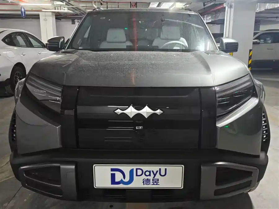 BYD Leopard Titanium 3