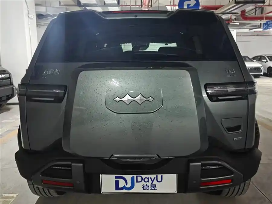 BYD Leopard Titanium 3