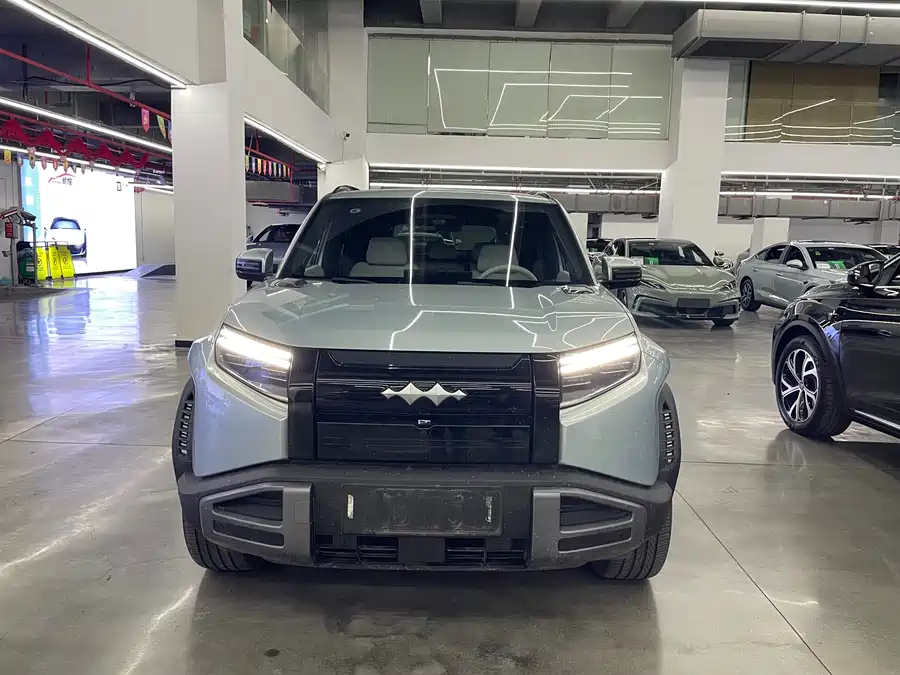 BYD Leopard Titanium 3