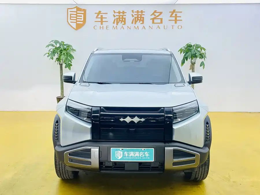 BYD Leopard Titanium 3