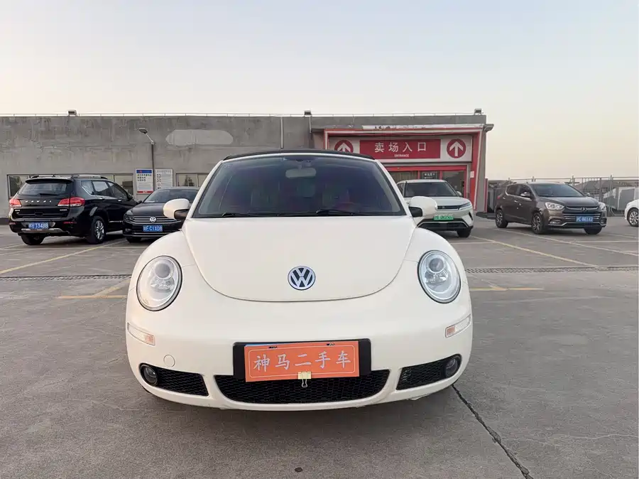 Volkswagen Beetle