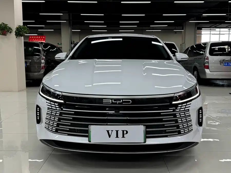 BYD destroyer 05