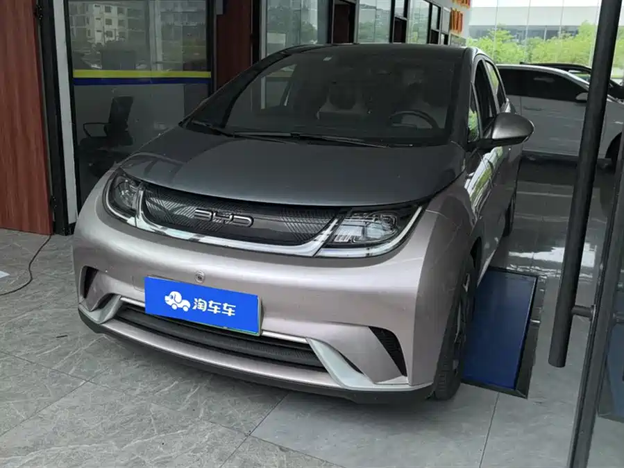 BYD Dolphin