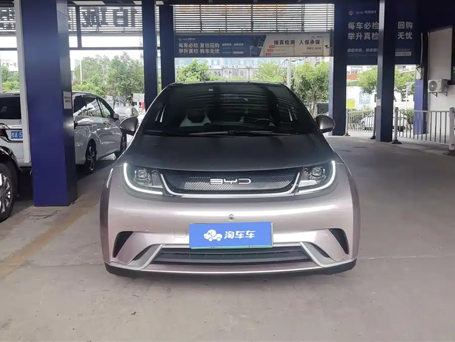 BYD Dolphin