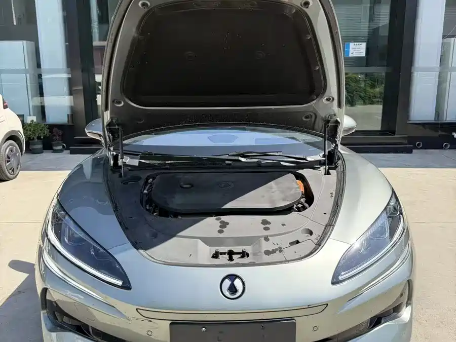 BYD Z9GT