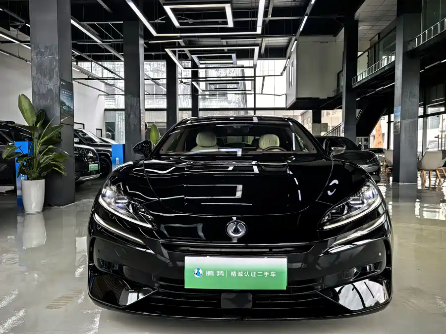 BYD Z9GT
