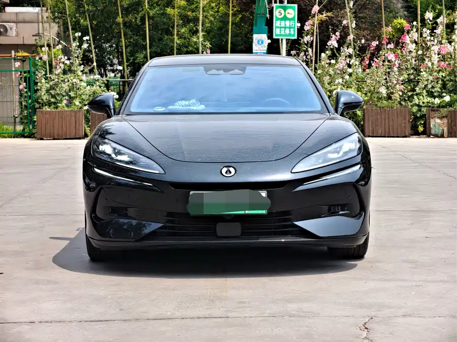 BYD Z9GT