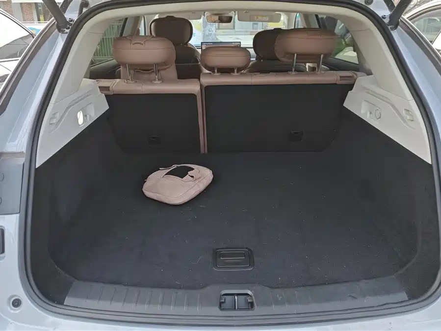 Leapmotor C11