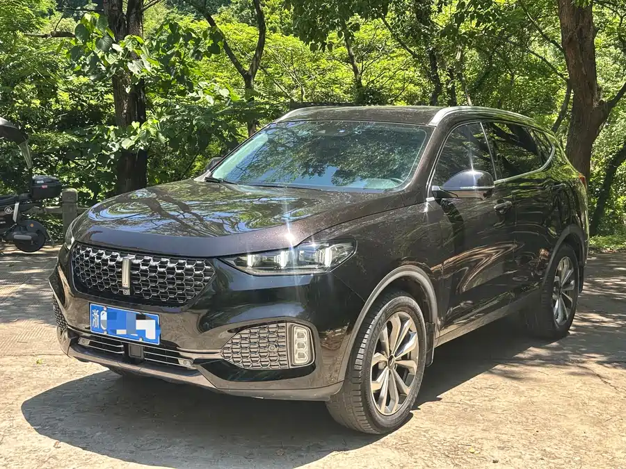 Wey VV6