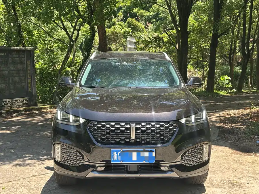 Wey VV6