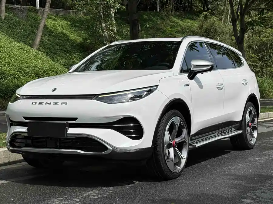 BYD X