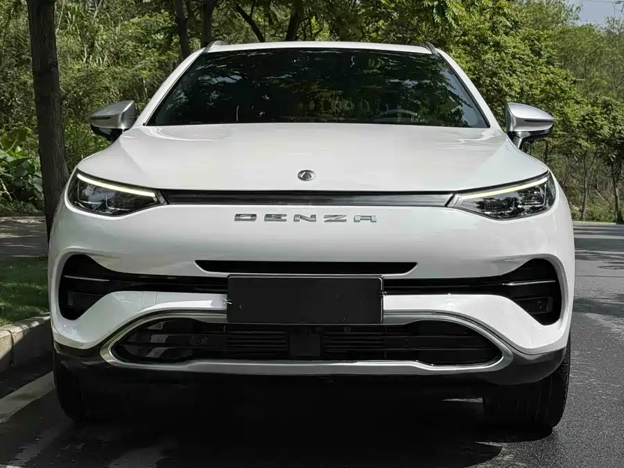 BYD X