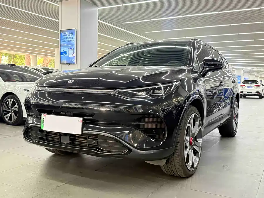 BYD X