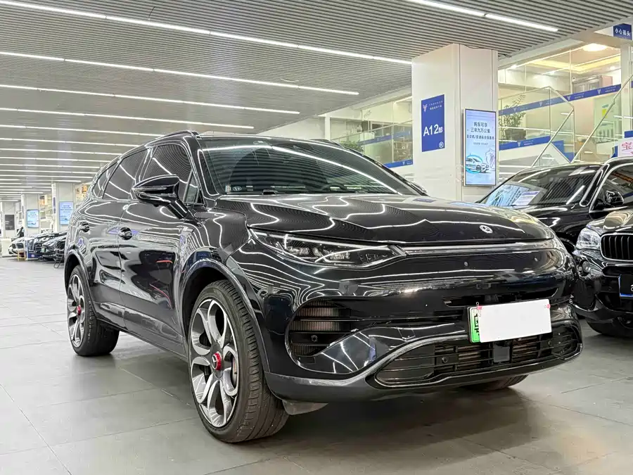BYD X