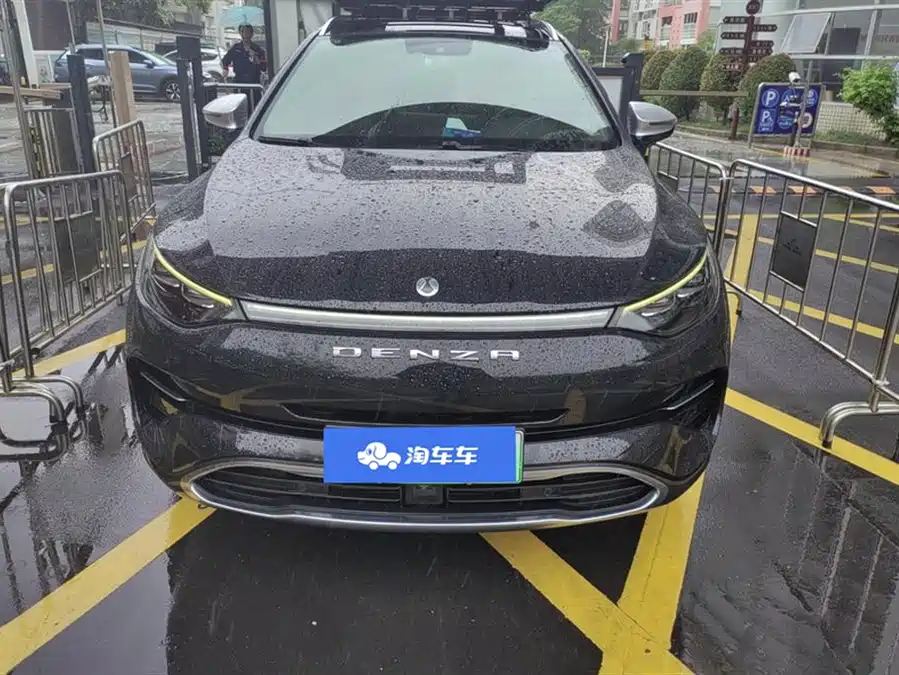 BYD X