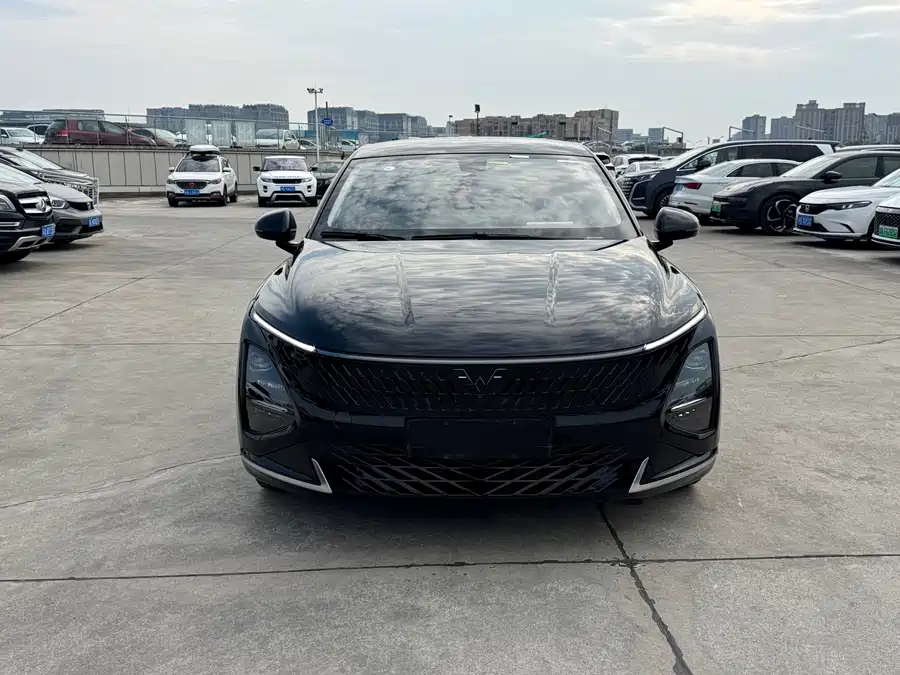 Wuling Starlight