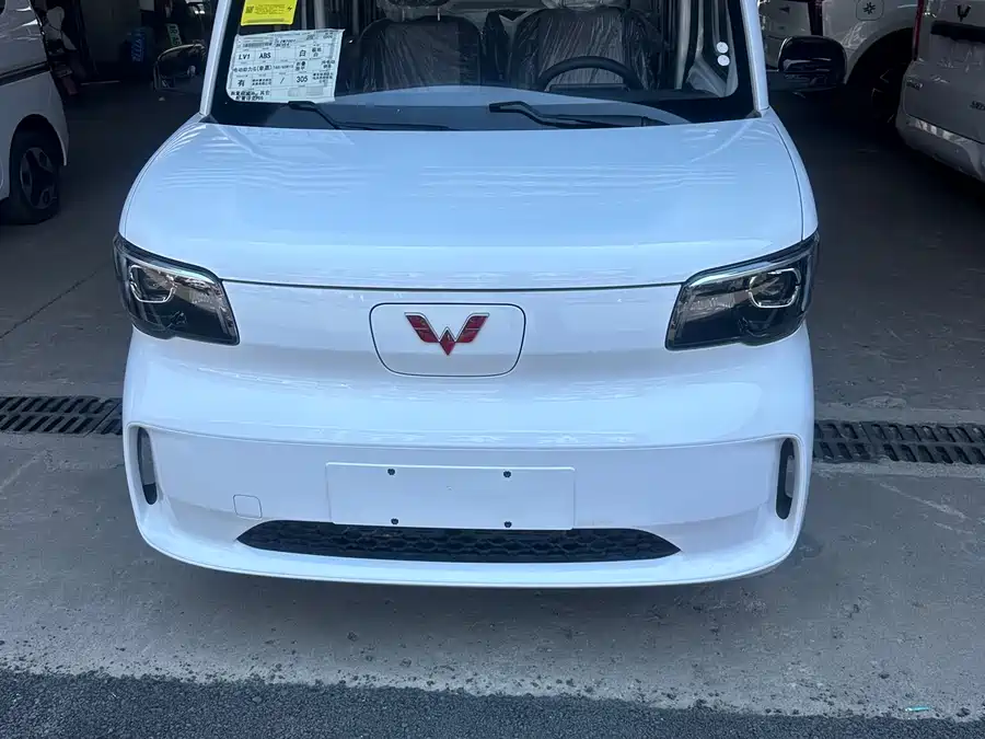 Wuling Zhiguang New Energy