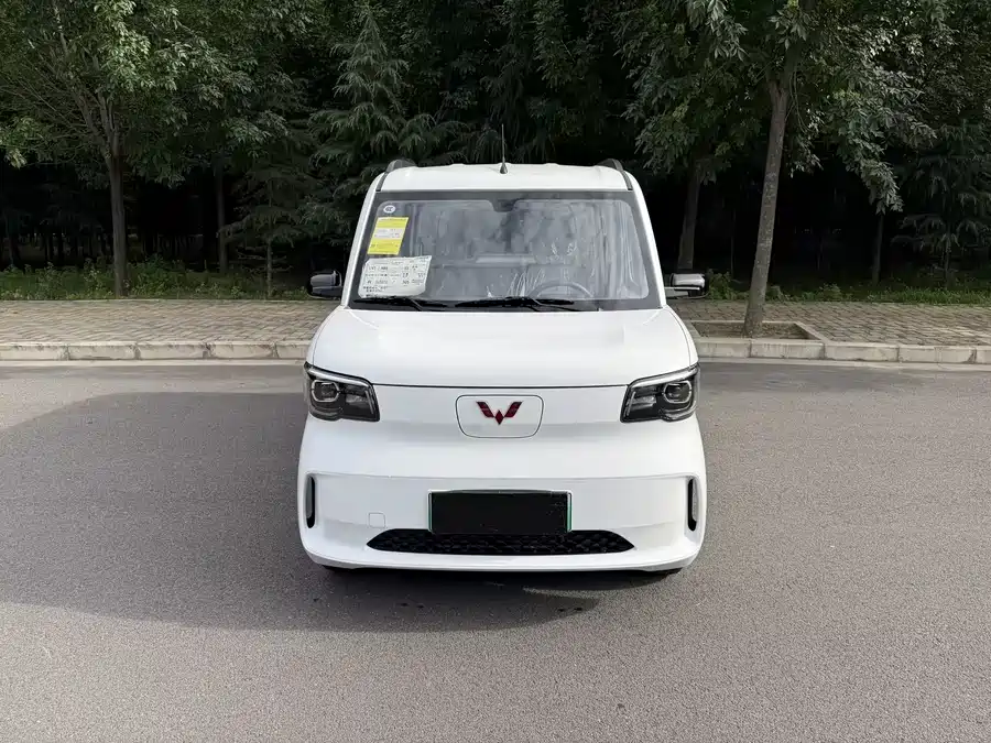 Wuling Zhiguang New Energy
