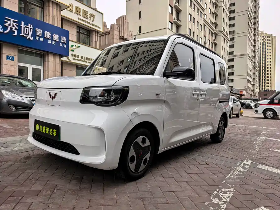 Wuling Zhiguang New Energy