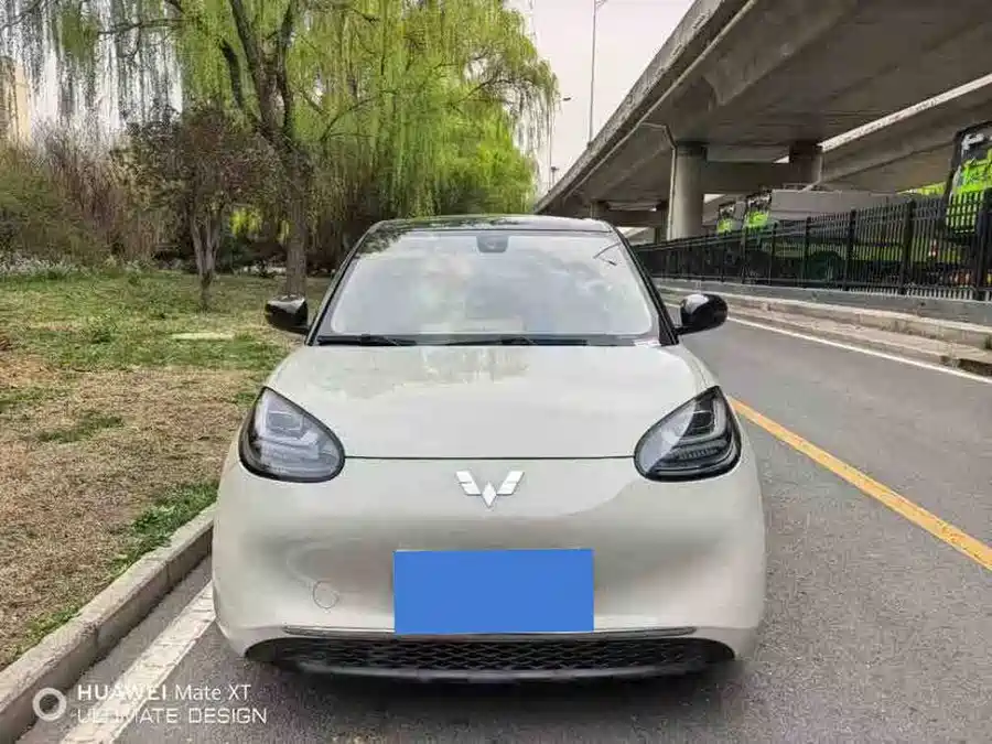 Wuling Bingo