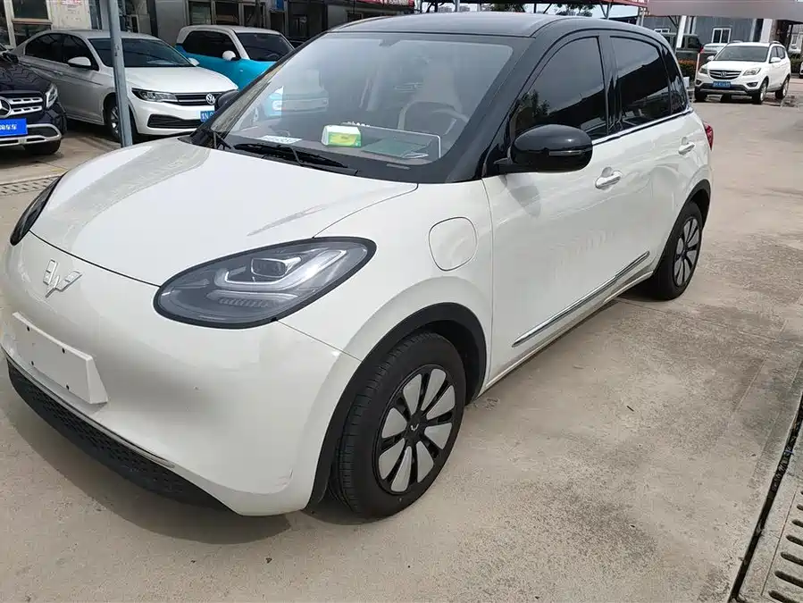 Wuling Bingo