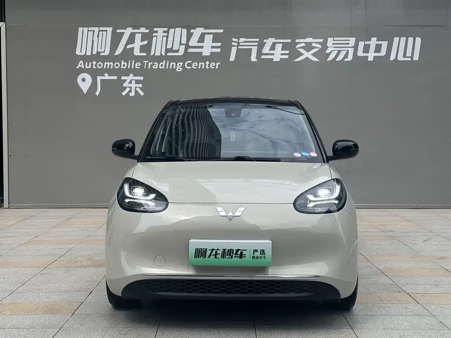 Wuling Bingo
