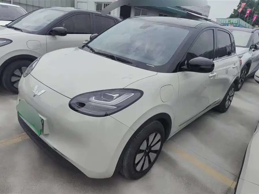 Wuling Bingo
