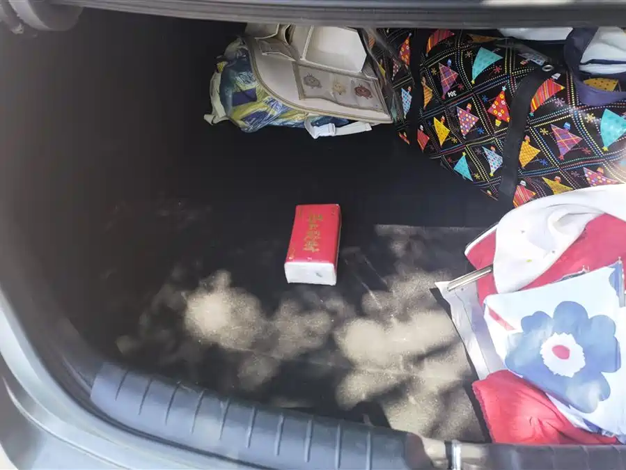 Hyundai Festa