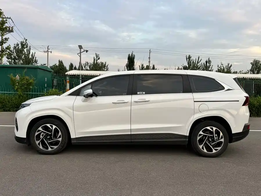 Hyundai Custo