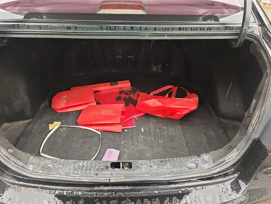 Hyundai Elantra / Celesta