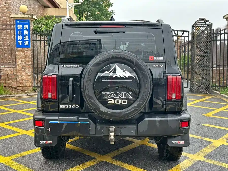 TANK 300