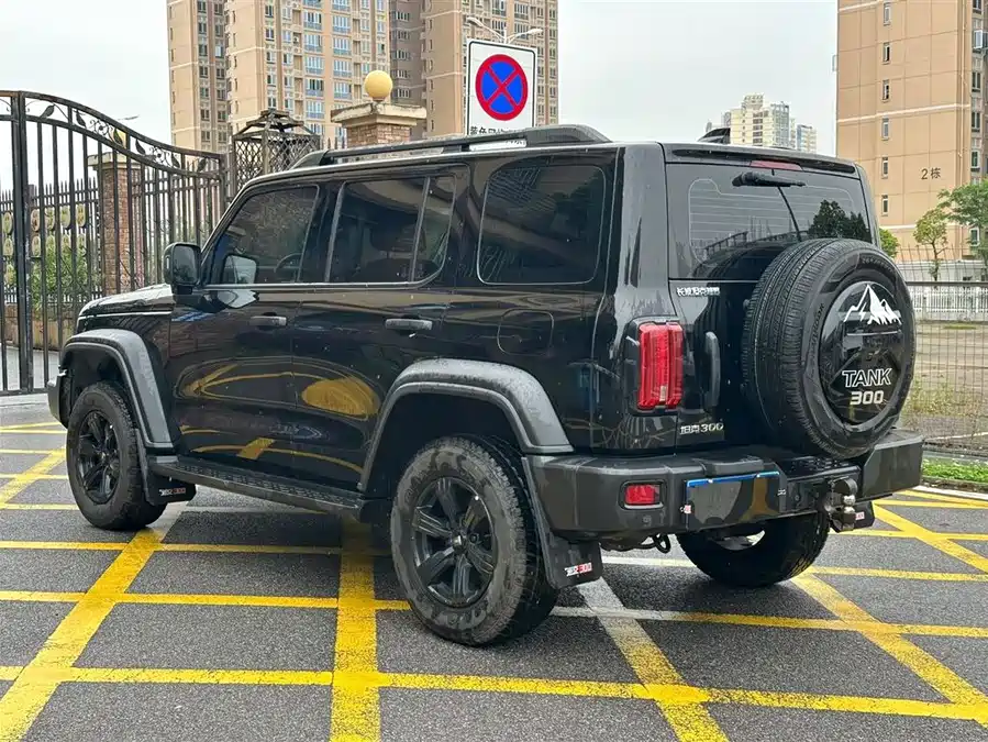 TANK 300