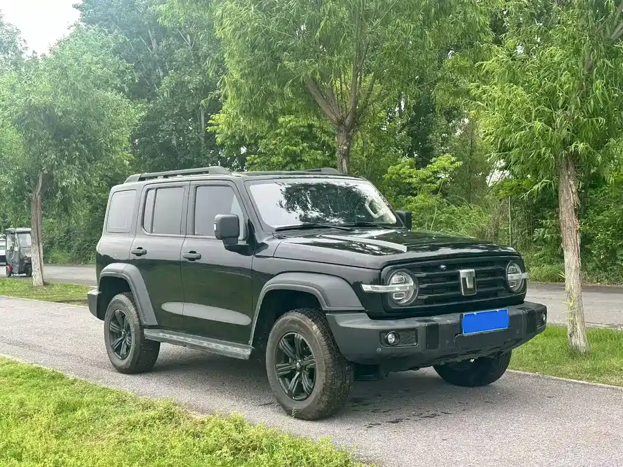 TANK 300