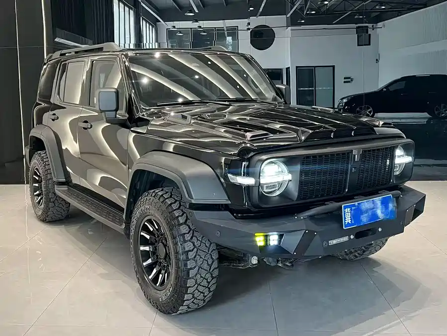 TANK 300