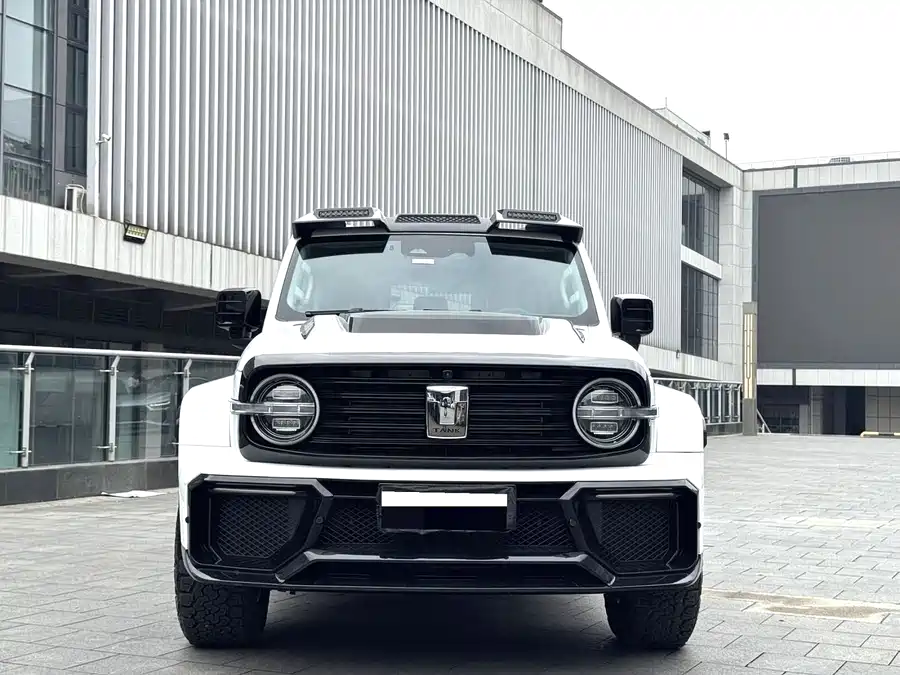 TANK 300