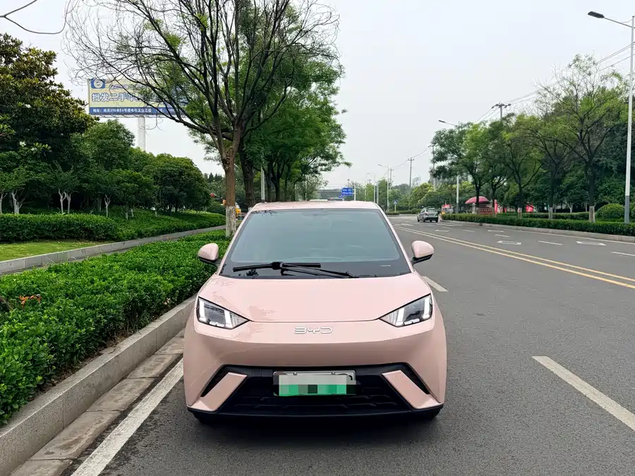 BYD Seagull
