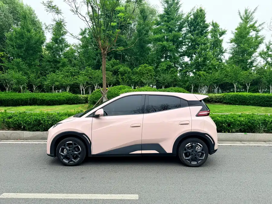 BYD Seagull