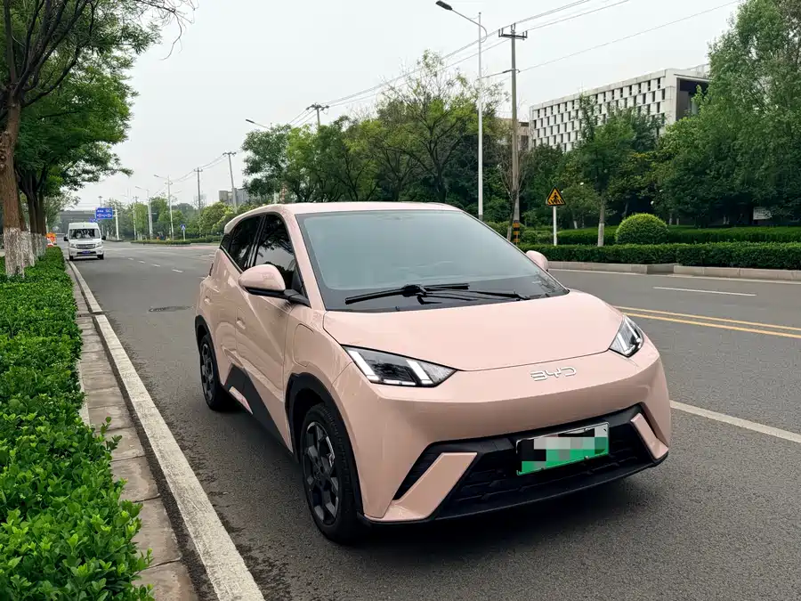 BYD Seagull