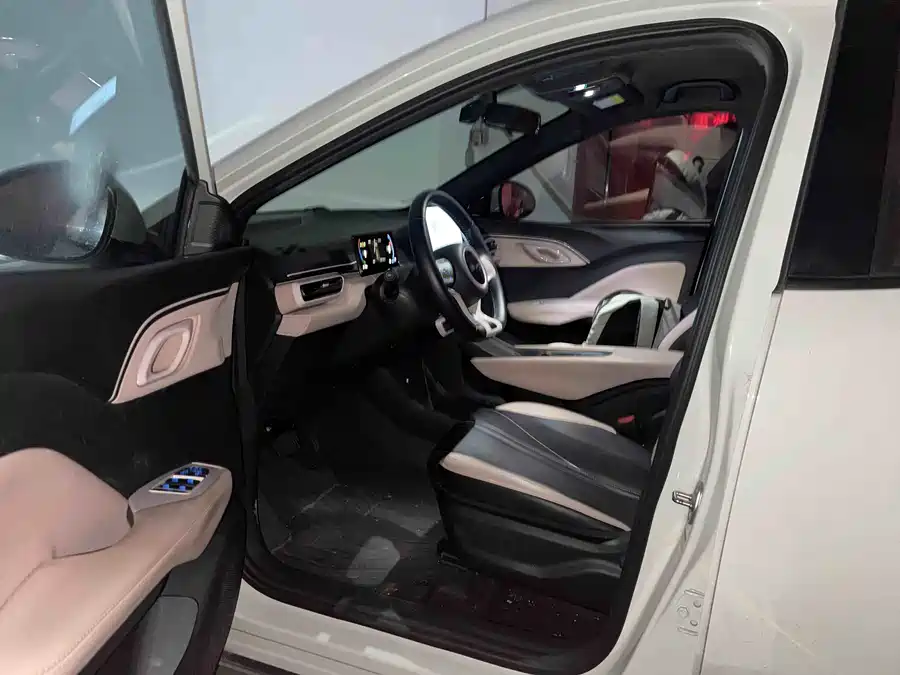 BYD Seagull